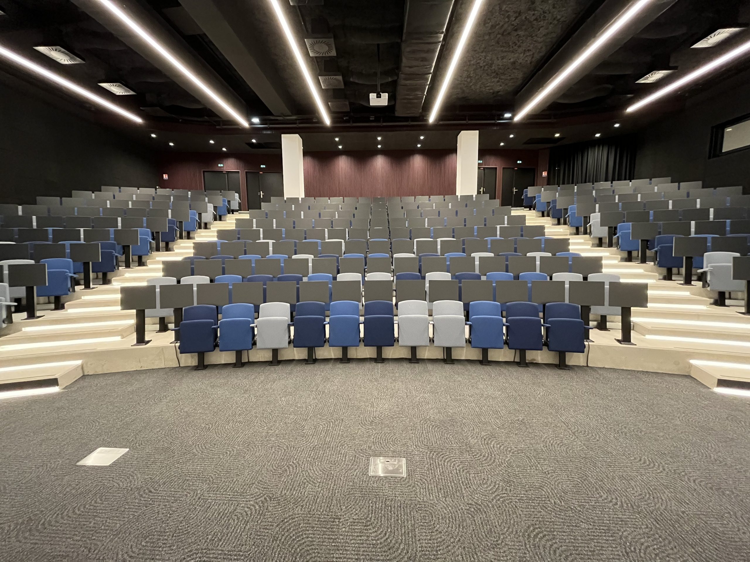 Auditorium Wood-E